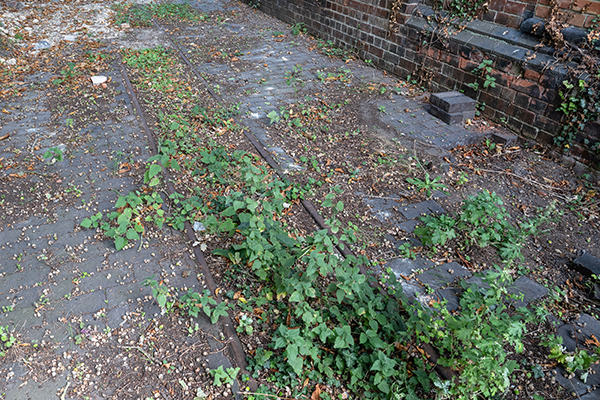 Narrow gauge track 24th August 2025