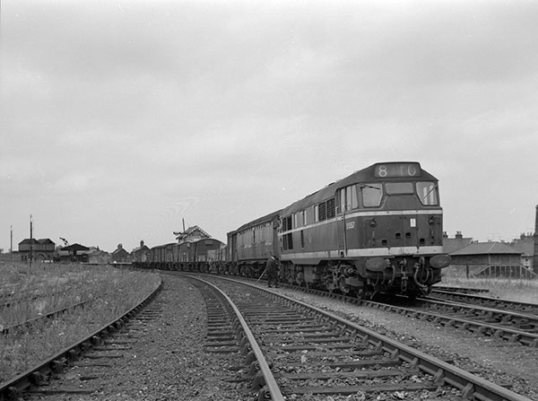 Type 31 c.1963