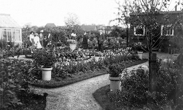 Communal gardens c.1910