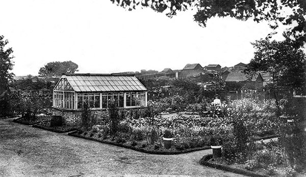 Communal gardens c.1910