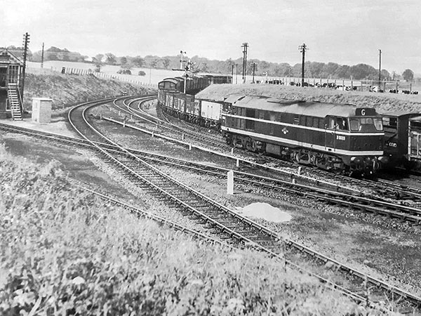 Class 31 1959